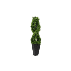 Twisted Cedar Topiary in Stone Pot