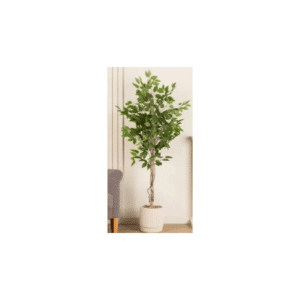 Artificial Ficus Tree in Cream Ribbed Cement Plant Pot